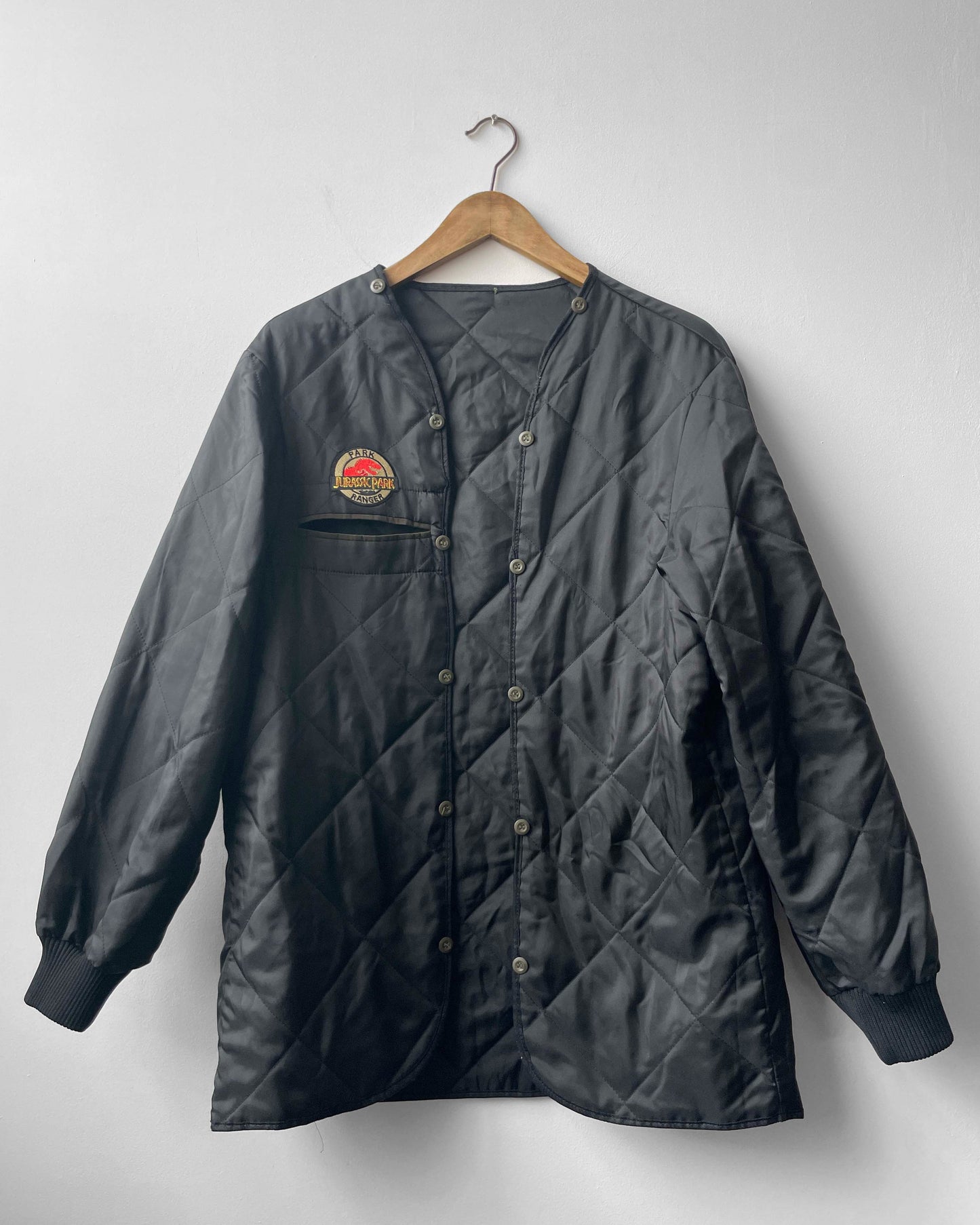 Vintage Black Liner Jurassic Park